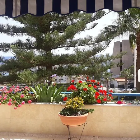 Alania Amathus Seaview Terrace Daire *