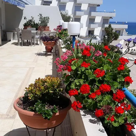 Daire Alania Amathus Seaview Terrace Limasol